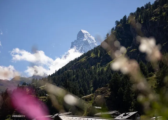 Готель Bahnhof